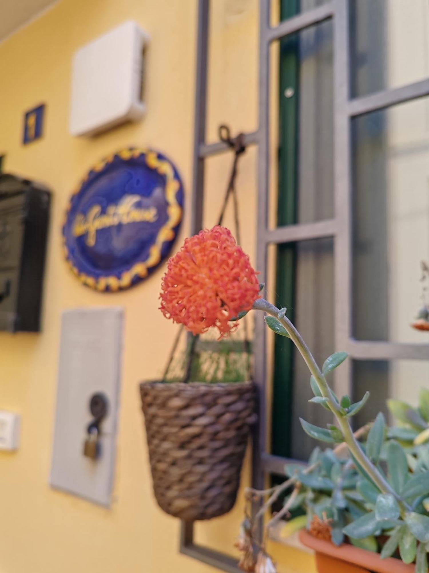 Smart House Ingresso Indipendente- Amalfi Coast Lejlighed Salerno Eksteriør billede